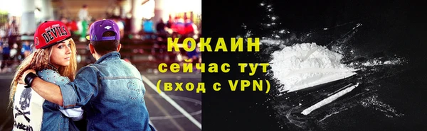 твердый Новозыбков
