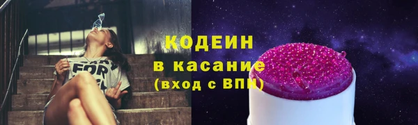 твердый Новозыбков