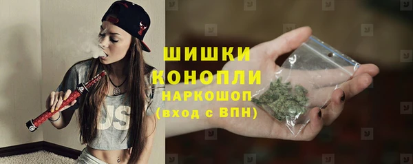 твердый Новозыбков