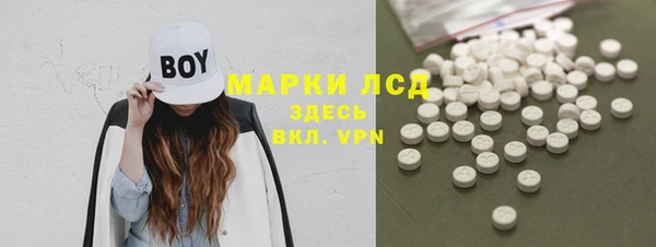 твердый Новозыбков