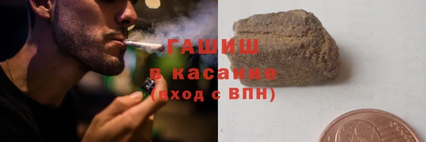 твердый Новозыбков