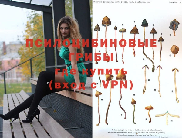 меф Архангельск