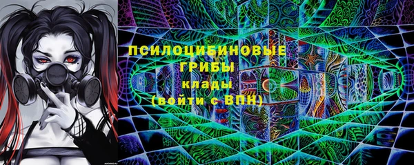 соль ск Новокубанск