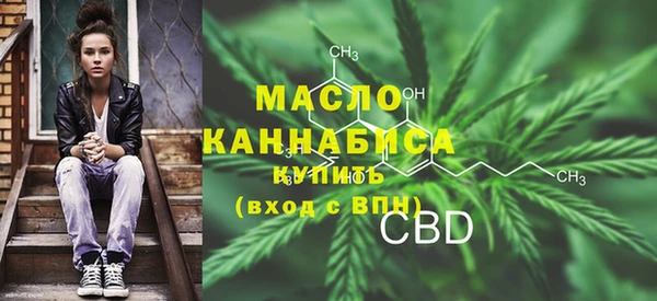 твердый Новозыбков