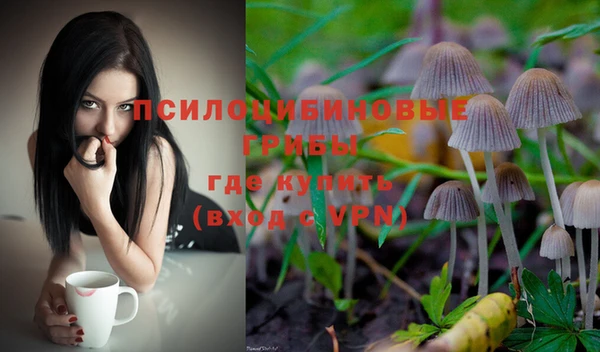 круглые Новодвинск