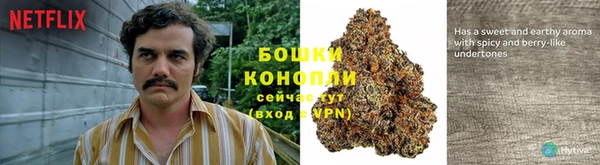 твердый Новозыбков