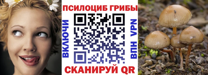 Псилоцибиновые грибы мицелий Родники