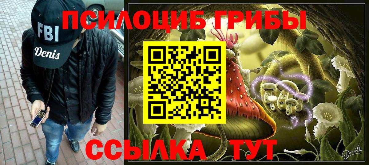 Псилоцибиновые грибы GOLDEN TEACHER  Галлюциногенные грибы прущие грибы  Родники  Вход с VPN 