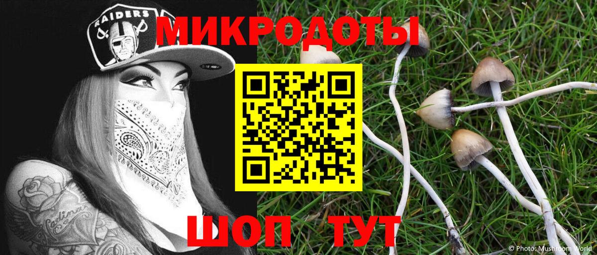Галлюциногенные грибы Psilocybe Родники