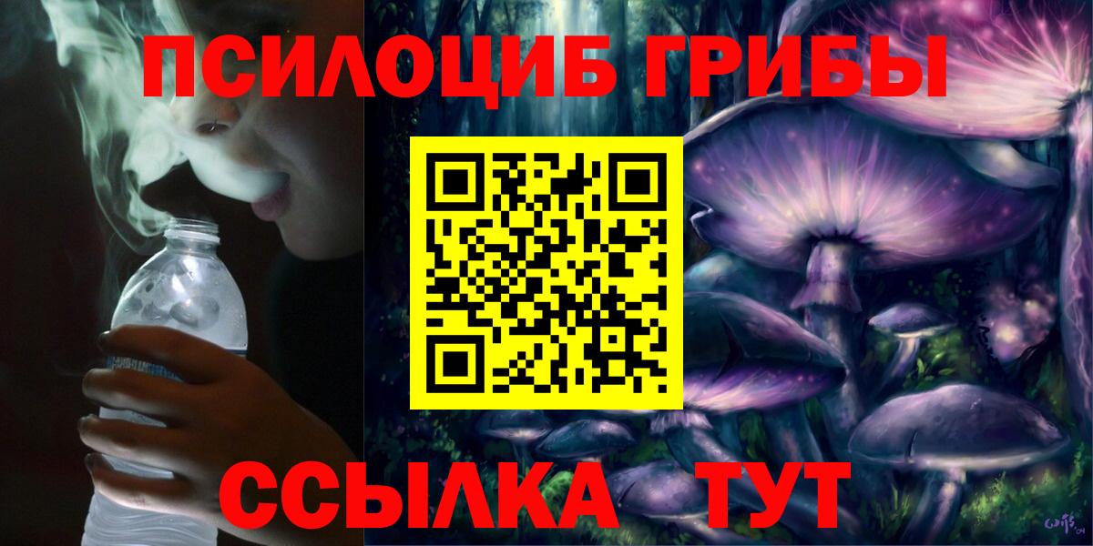 что такое наркотик  Родники  Галлюциногенные грибы мицелий 