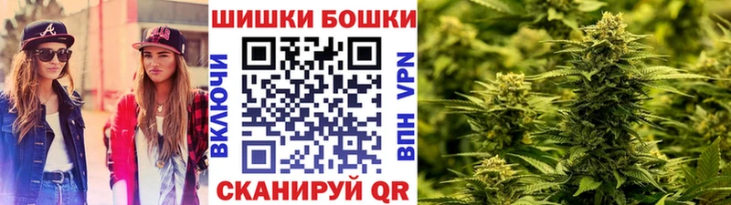 Конопля план  Родники 
